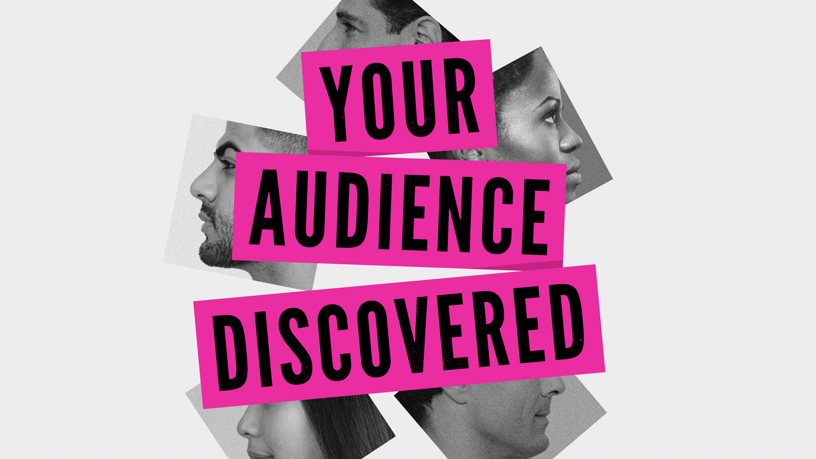Your Audience Discovered Header