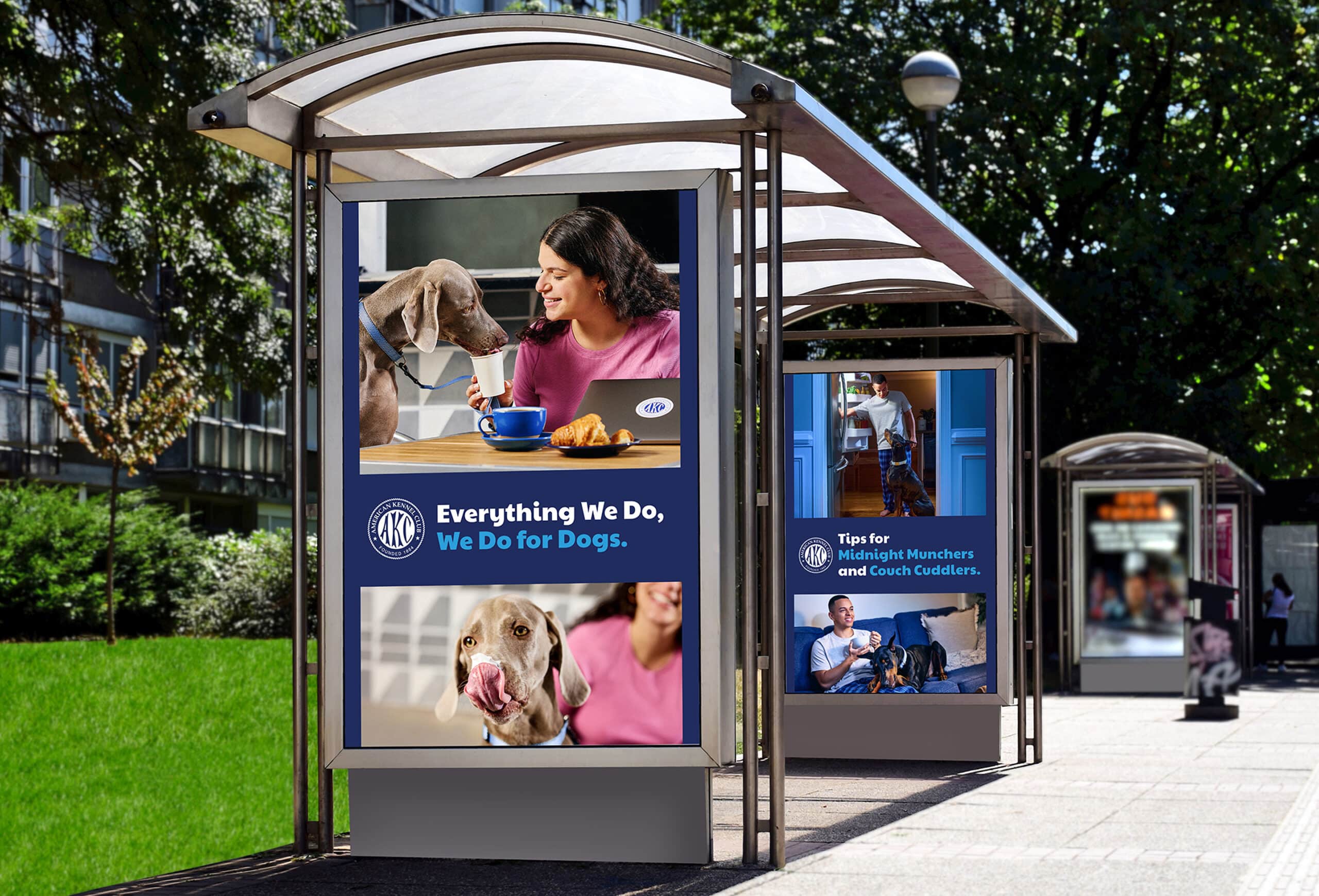 AKC bus stop