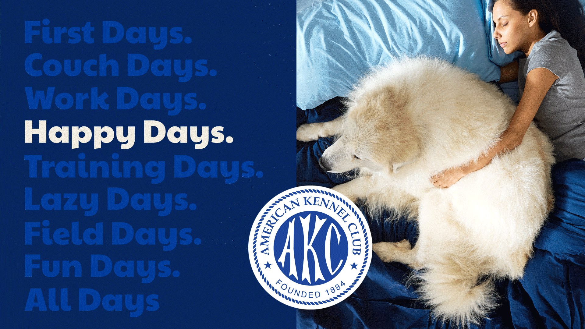 AKC dog days